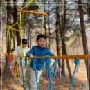 큰숲어린이집 이미지