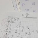 기장초 이미지