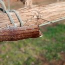 일비농장 이미지