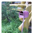 킴스케빈 이미지