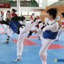 강진태권도체육관 이미지