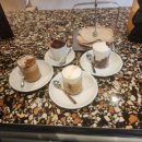 장원동물병원 | 6월 일상 블로그