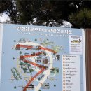 중앙레포츠 | 강화도 여행] 커플·친구·가족 여행 추천 강화레포츠파크 (짚라인, 레이저서바이벌, 어드벤처, 고카트 등)