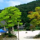 깊은내 팬션 이미지