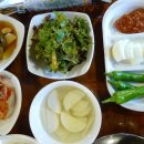 죽도농장 이미지