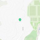 포레스트 하우스 애견유치원 이미지