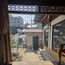 데이롱카페안동정하동점 | 안동 정하동 카페 착할선 분좋카 방문 후기