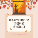 울산시 중구 성안동에서 새가족으로 등록하셨습니다. 이미지