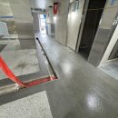 성수초등학교 이미지