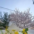 수풀(SOOPUL)