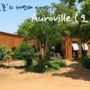 뱀부포레스트(BAMBOO Forest) 이미지