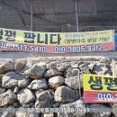 용성꿩농장 이미지