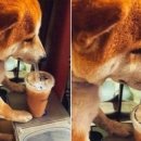 대박스타 이미지