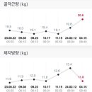 치어스덕이점 | 취미발레일기 I 4.5개월 후기. 인바디 결과. 다이어트 효과.