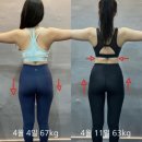 압구정 라이프 복싱 이미지