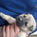 묘산면사무소 이미지