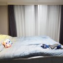 좋은집블라인드커튼