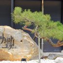 아리랑카페 이미지