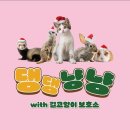 오늘의 댕댕 | [부천] 동물 카페 <댕댕냥냥> 솔직후기 | 이색데이트, 가볼만한 곳