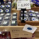 더로컬 314 이미지
