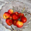 하담약국 | 졸피뎀 가격 알아보고 다른 약국 수면유도제 복용 후기