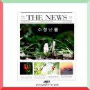 석장초 | 수정난풀