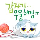 미사이참치 이미지