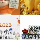 동일정육점 - 음성군 금석로 83-1 | 동일정육점