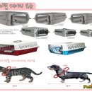 펫에어라인