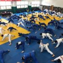용인대 투혼 유도 클럽 이미지