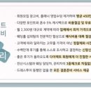 이솔채