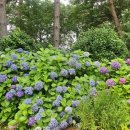 원예예술촌(주차장) 이미지