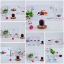 석가헌 | [디티팜] 산수유즙 / 구례 친환경 산수유 건강즙 부모님선물 추천