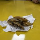 세라목장 이미지