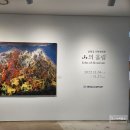 헤럴드아트데이 네이버블로그