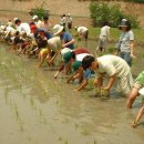 도농문화교류영농조합법인 이미지