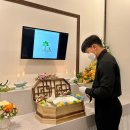 전남반려동물장례식장푸른솔 이미지