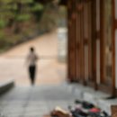 향기로운 염원 이미지