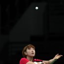 스케치독 이미지