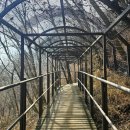 자동차와좋은사람들 | 단양•재천 월악산+악어봉 다녀온 후기!