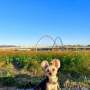 프랑소와펫 신세계대전점 이미지