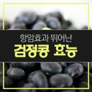 검정콩의 효능 이미지