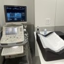 안심동물의료센터 | 응급 상황에도 안심되는 24시 황금동물의료센터 이용 후기