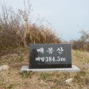 매봉산 정상 이미지