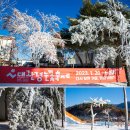 구만리낚시터 | 강원도 평창 가볼만한곳 평창송어축제 기본 정보