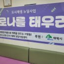 협심경로당 이미지