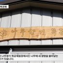 나무향기목공