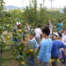 빗돌배기마을 이미지