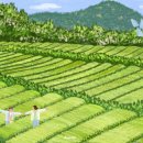 일상드로잉 이미지