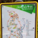 힐링애견 이미지